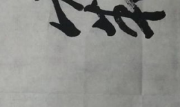 书法视频,书法艺术视频赏析